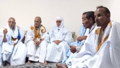 صورة قادة حلف الوفاء والنصر بمقاطعة جكني يلتقون بعثة حزب الإنصاف بمدينة النعمة (تفاصيل)