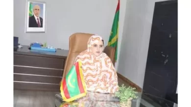 صورة الحكومة: النساء يمثلن 30 بالمائة من القوة العاملة في موريتانيا