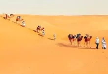 صورة تصل 46 درجة.. توقعات لارتفاع “ملحوظ” في الحرارة ببعض مدن موريتانيا
