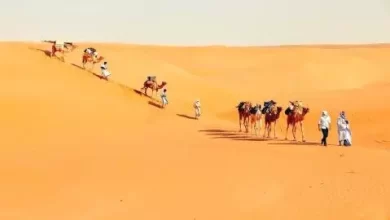 صورة تصل 46 درجة.. توقعات لارتفاع “ملحوظ” في الحرارة ببعض مدن موريتانيا