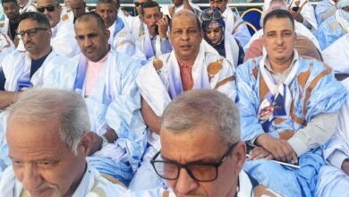 صورة حضور متميز للوزير السابق سيد أحمد ولد  الرايس في مهرجان غزواني بأزويرات