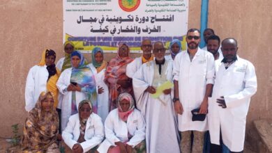 صورة وزارة التجارة والصناعة والصناعة التقليدية والسياحة تفتتح دورة تكوينية في مجال الخزف والفخار بكيفة