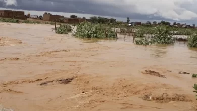 صورة السيول تهدد الحاجز الرملي بامبود وتجرف جوانب الطريق معبد