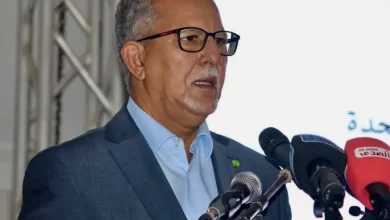 صورة وزير الزراعة: موريتانيا لديها 2.6 مليون نخلة تنتج 24 ألف طن سنويا