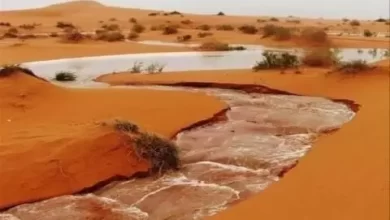 صورة تساقطات مطرية جديدة على مناطق بخمس ولايات (مقاييس)