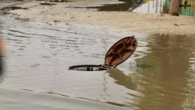 صورة تعرف على مقاييس الأمطار المسجلة البارحة بالعاصمة نواكشوط