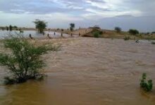 صورة تعرف على آخر التساقطات المطرية بمناطق متفرقة من البلاد (أسماء وأرقام)