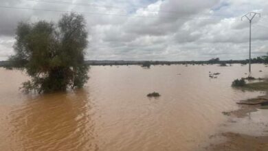 صورة النعمة: العثور على اثنين من ركاب السيارة وقد فارقوا الحياة