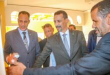 صورة  وزير الثقافة: التفاني في أداء الواجب هو المعيار الأوحد للترقية الوظيفية
