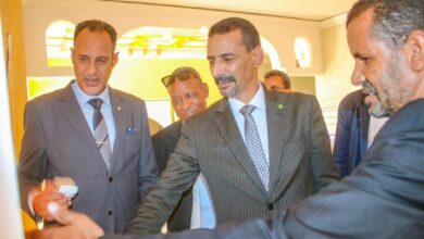 صورة  وزير الثقافة: التفاني في أداء الواجب هو المعيار الأوحد للترقية الوظيفية