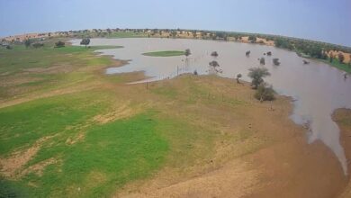 صورة تساقطات مطرية هامة على مناطق متفرقة من ولاية الحوض الغربي