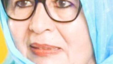 صورة هذا ما سطره حبيب الله ولد أحمد بخصوص التجديد لمهلة بنت طالبن رئيسة المرصد الوطني لحقوق المرأة والفتاة (تدوينة)