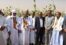 صورة المندوب العام لتآزر يدشن منشآت تعليمية وسدودًا وشبكات مياه في لعصابه