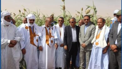 صورة المندوب العام لتآزر يدشن منشآت تعليمية وسدودًا وشبكات مياه في لعصابه