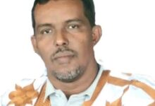 صورة مهرجان مدائن التراث .. ثراء المضمون وسوء الإخراج / الإعلامي سيد أحمد ولد باب