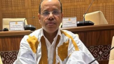 صورة نائب كيفة المرابط الطالب ألمين يقدم عريضة مطلبية للبعثة الوزارية