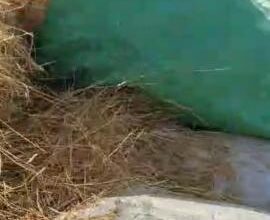 صورة مواطنو تمبدغة يطالبون بحماية المراعي من العبث وتهديدات الأجانب