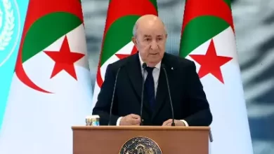 صورة تبون: نرفض وجود قوات مرتزقة على حدودنا وأبلغنا روسيا بذلك