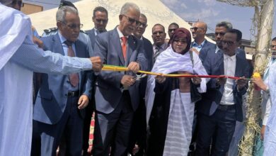 صورة افتتاح أول معرض للمنتجات الزراعية وسط مدينة كيفة بولاية لعصابة (صور)