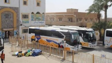 صورة إدارة شركة سونف للنقل تصدر قرارًا بمنع بيع التذاكر للأجانب دون وثائق رسمية