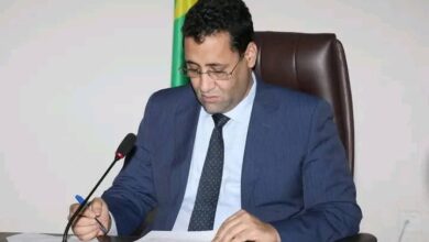 صورة الوزير الأول يترأس اجتماعًا لمناقشة تنظيم النشاط الصناعي والتعاون في المجال المعدني (صور)