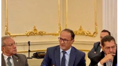صورة ندوة بالقاهرة تتناول مرور 65 على العلاقات الموريتانية المصرية