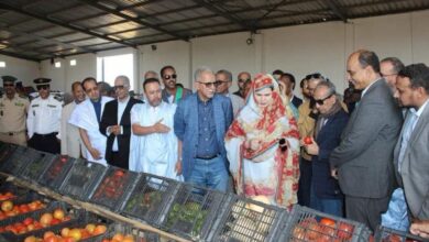 صورة وزير الزراعة: الإنتاج الموريتاني من الخضروات بلغ مستوى مشجع