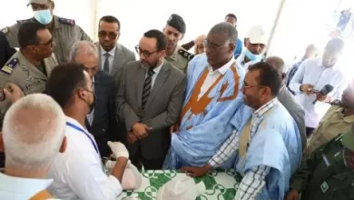 صورة وزير التنمية الحيوانية يعلن عن تخفيض أسعار اللحوم الحمراء في رمضان