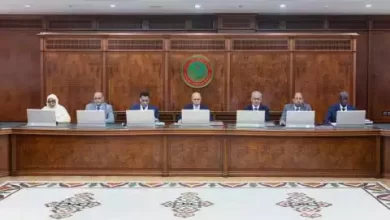 صورة الحكومة تصادق على إنشاء نظام خاص يعنى بتسيير أفراد الجمارك (بيان)