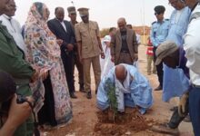 صورة انطلاق المرحلة الأولى من مشروع تشجير الشوارع والساحات العامة في مدينة أكجوجت