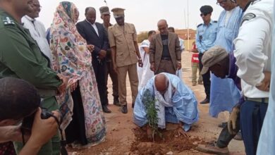 صورة انطلاق المرحلة الأولى من مشروع تشجير الشوارع والساحات العامة في مدينة أكجوجت
