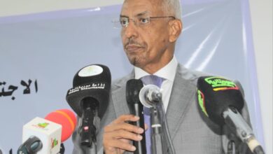 صورة “موري بوست” تنظّم النسخة الثانية من يوم العائلة البريدية لعام 2025 (صور)