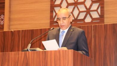 صورة وزير الداخلية إجراءات ترحيل المهاجرين غير النظاميين تحترم الكرامة الإنسانية وتتم وفق المعايير