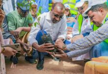 صورة حزب الإنصاف يختتم حملته لتنظيف وتشجير العاصمة نواكشوط (صور)