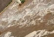 صورة تساقطات مطرية معتبرة على مناطق مختلفة بولاية لعصابة (المقاييس بالأرقام)