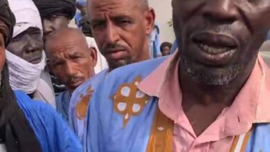 صورة باعة المواشي في كيفة يحتجون على قرار ترحيلهم إلى “المربط الجديد”