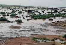 صورة تعرف على التساقطات المطرية الأخيرة في عدد من ولايات الوطن (مقاييس)