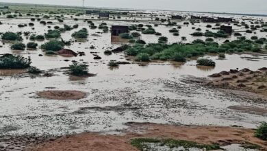 صورة تعرف على التساقطات المطرية الأخيرة في عدد من ولايات الوطن (مقاييس)