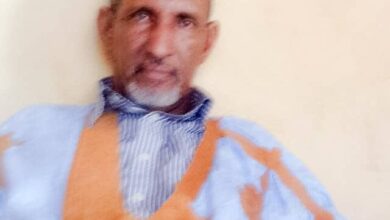 صورة التهميش الوظيفي فى لكصيبة1شرخ اجتماعي يهدد وحدة الخيار السياسي
