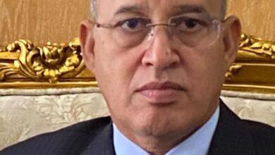 صورة موريتانيا بين الرهانات الداخلية والتحديات الخارجية / محمد لحظانه – المستشار الفني لوزير التجهيز والنقل، مكلف بالنقل الجوي