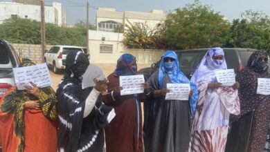 صورة وقفة احتجاجية لمجموعة من منقبي “مجهر أحديب أقيان” مطالبة بالإنصاف أمام وزارة معادن (صور)
