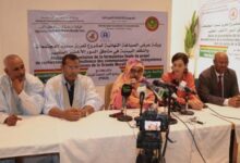 صورة ورشة لصياغة مشروع تعزيز الصمود والنظم البيئية في مناطق السور الأخضر:الكبير (صور)