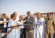صورة وزارة التنمية الحيوانية تعتمد فضاءات مخصصة لذبح الأضاحي في نواكشوط
