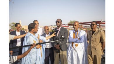 صورة وزارة التنمية الحيوانية تعتمد فضاءات مخصصة لذبح الأضاحي في نواكشوط