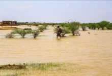 صورة مقاييس التساقطات المطرية الأخير على مستوى مقاطعة عدل بكرو (أرقام)