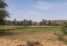 صورة التساقطات المطرية خلال الأربع والعشرين ساعة الماضية بولاية لعصابة (مقاييس)