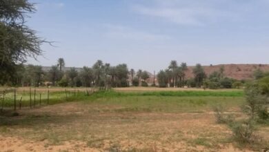 صورة التساقطات المطرية خلال الأربع والعشرين ساعة الماضية بولاية لعصابة (مقاييس)