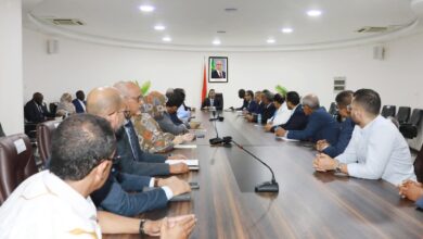 صورة ولد اجاي: خطة متدرجة لإزالة العوائق أمام التصنيع وتتطلب تنسيقًا فعالًا