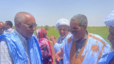 صورة ساكنة الدفعة تنظم استقبالا حاشدا للوزير الأول الأسبق المهندس يحي ولد حدمين
