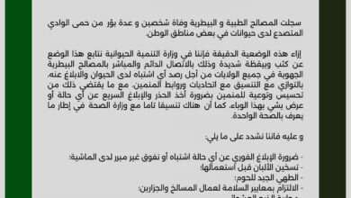 صورة بيان حول الإجراءات الصحية للتصدي لحمى الوادي المتصدع